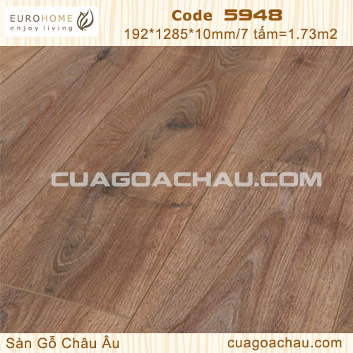 10ly euro home 5948 2