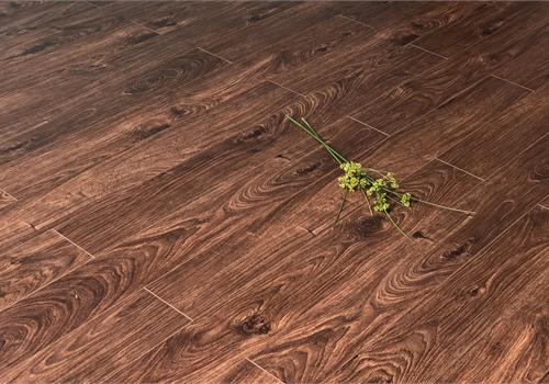 acacia-ds505-12mm