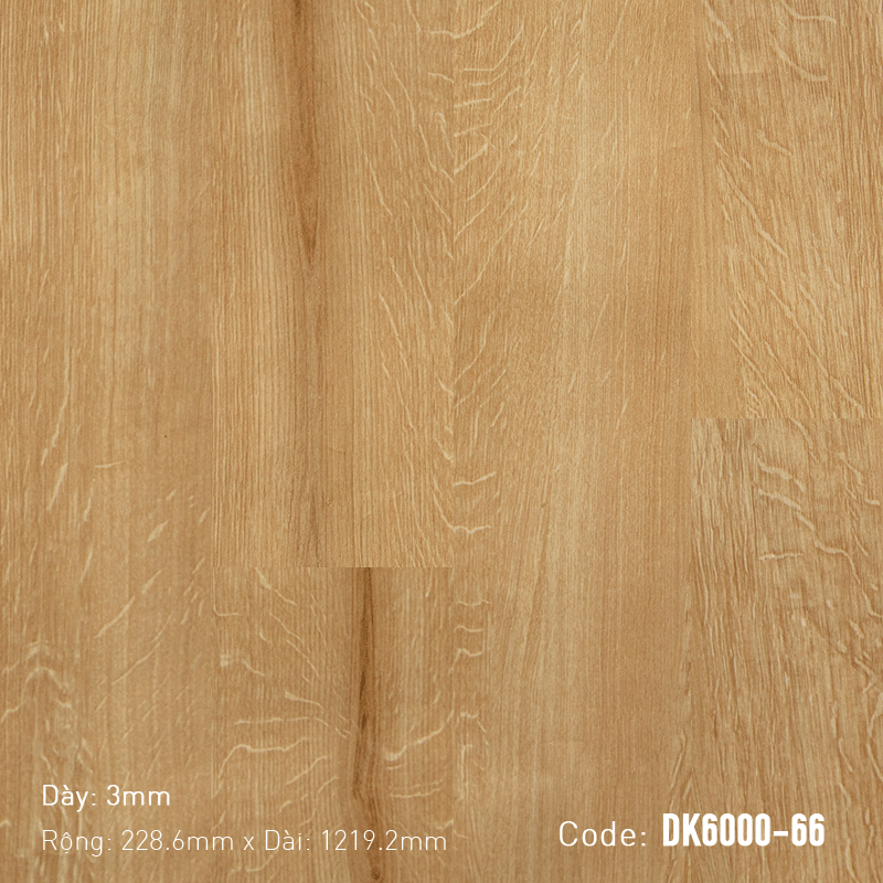 Aroma-DK-6000-66